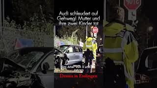 Esslingen  Der Autofahrer verlor die Kontrolle deinenachrichten news aktuellenachrichten viral [upl. by Analise913]