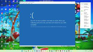 Windows 10 BSOD VM 26 [upl. by Atekram694]