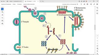 ATIVIDADE 1  FUNDAMENTOS DE MICROBIOLOGIA E IMUNOLOGIA  542024 [upl. by Fortune]