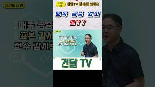 건달TV 매독 급증 원인매독매독급증건달TV건강정보 [upl. by Aicyle]