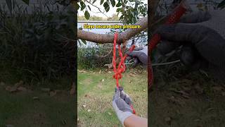 Why the Bowline Knot is the King of Knots  How to tie the bowline knot step by step [upl. by Torie]