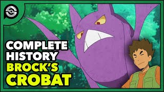 Pokemon Explained Brocks Crobat  Complete History [upl. by Dianne]