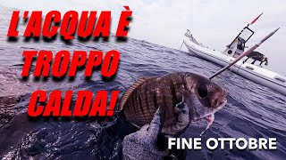 PESCASUB AD OTTOBRE CON LACQUA ANCORA 26 GRADI [upl. by Aratas]