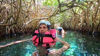 XCaret Park MEXICO  Some experiences you shouldnt miss [upl. by Market]