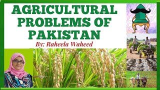 Agriculture Problems and solutions  Agricultural issues and Challenges in Pakistan  Raheela Waheed [upl. by Caruso]