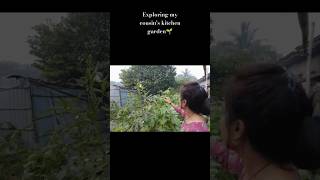 Exploring my cousins kitchen garden SoftysDiary youtubeshorts biharculture [upl. by Rich]