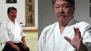 Aikido Budo Shin  Masafumi Sakanashi sensei [upl. by Blancha]