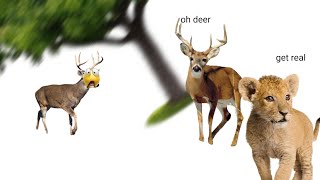 oh deer [upl. by Tullusus889]