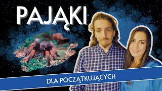 PIERWSZY pająk dla POCZĄTKUJĄCYCH  Jakiego WYBRAĆ jako PIERWSZEGO PTASZNIKA Co kupić NA POCZĄTEK [upl. by Nwahsyd]