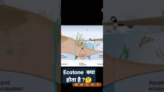 ecotone को समझिए  edge effect meaning in hindi ecology for UP TGT PGTRPSC EXAMS [upl. by Yanej]