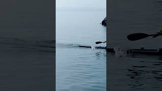 kayak training parallel to the breakwater and fishingboats [upl. by Aihsoem178]