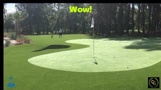 Realistic golf check shots on artificial backyard putting greens  Wisconsin [upl. by Ellenahs352]