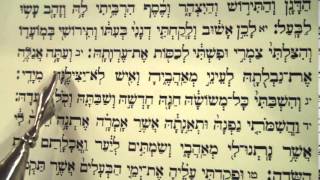 Haftorah Haftarah Parashat Bamidbar by Rabbi Moshe Weisblum קריאת ההפטרה לפרשת במדבר הרב משה ויסבלום [upl. by Aidni]