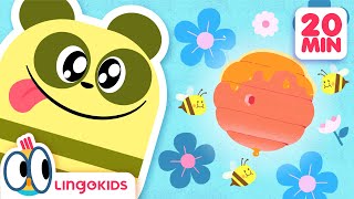 Lets Go Back to School 📚🎒 Educational Cartoons for Kids  Lingokids [upl. by Dimitry98]