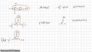 Chimica Organica  Gruppi funzionali parte 1 [upl. by Mcfarland]