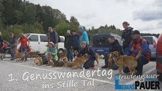 Strudengauer LebensPAUER  Leo Gradl  1 Genusswandertag ins Stille Tal [upl. by Zackariah61]