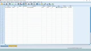 Apprenez SPSS en 30 minutes [upl. by Luz]