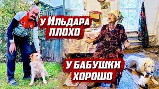 Дела у Ильдара плохи  Оренбургская обл гБугуруслан [upl. by Ives145]