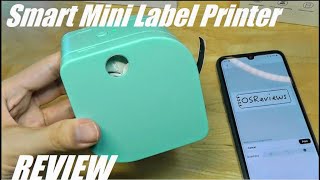 REVIEW Phomemo P12 Smart Mini Label Printer 20  Organize Things [upl. by Thorfinn193]