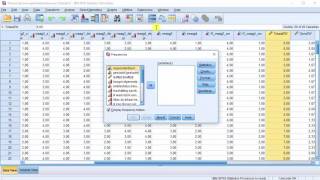 Variabele Samenstellen in SPSS [upl. by Fernyak]