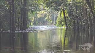 08092024 Effingham County GA  Flooding Inundates Neighborhoods  Okeechee River Flooding [upl. by Ttekcirc]