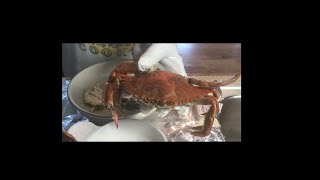 How to pick the crab meat from SC Blue Crab after cooking [upl. by Bessy]