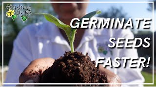 Germinate Seeds Faster [upl. by Llennej420]