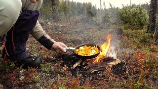 Färska kantareller smörstekta över eld  Chanterelles fried outdoors [upl. by Akimaj383]