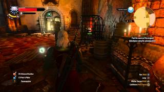 The Witcher 3  Disturbance Find Magical Disturbance Dimeritium Potestaquisitor Gameplay [upl. by Anaytat]