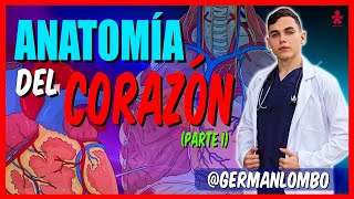 TEMA 1  ANATOMÍA DEL CORAZÓN  Generalidades y Configuración Externa [upl. by Ahtnamas]