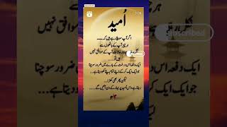 Umeed  quotes About life  Quotes of Life  Islamic status  Islamic shorts trending shorts yt [upl. by Amethyst]