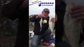 Bassman Spinnerbaits  Always Innovating fishing bassmanspinnerbaits murraycod fishinglures [upl. by Lorry]