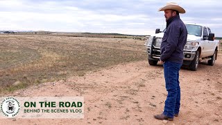 Texas Bison Rancher tour a bison ranch in Texas Caprock Canyon Bison Company [upl. by Redfield]