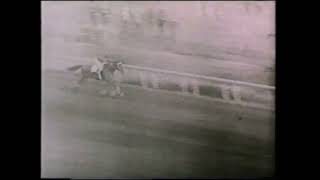 Phar Lap  Agua Caliente Handicap 2000m 1932  Trained by Tommy Woodcock [upl. by Wilow]