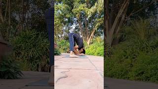 HEADSTAND TO LEG SPLIT 🔥 yoga fitnessjourney backpainrelief [upl. by Etka708]