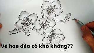 Vẽ Hoa Đào tinh tế bằng bút chì  How to draw Cherry Blossoms [upl. by Lenny426]