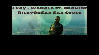 Ckay  Wahala ft Olamide  Sax Cover by RickyOnSax [upl. by Engapmahc815]