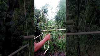 Unique and Rare Bamboo Palace for Entertainment l Bamboo idea Vlog [upl. by Ayatahs]