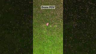 Drone POV Backtuck drone dronepointofview dji djineo gymnastics backtuck parkour fitness [upl. by Aynotahs]