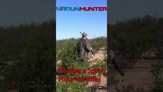 Hunting Break Barrel Spring Piston Air Rifle [upl. by Halika]