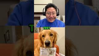 Early Cancer Detection and the Role of the Oncotect dogcancer dog podcast [upl. by Schonthal]