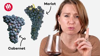 Learn by Tasting ep 25 Wine Folly [upl. by Arette]