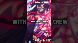 What if Kaidos Crew fought with Shanks Crew  animeshorts onepiece shanksvskaido anime [upl. by Essenaj]