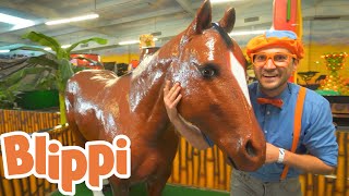 Blippi Explores Jungle Animals  Animals for Kids  Educational Videos For Kids [upl. by Daniell]