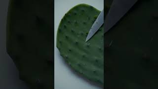 How To Prep Nopales Prickly Pear Cactus [upl. by Airotel360]