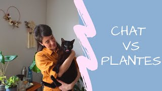 ASTUCES quand on à un CHAT et des PLANTES [upl. by Shepperd]