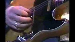 roy buchanan  wayfaring pilgrim [upl. by Twyla]