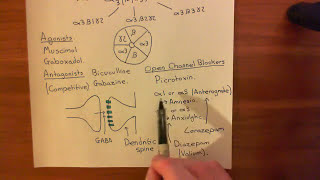 The GABAA Receptors and the Benzodiazepines Part 6 [upl. by Strawn]