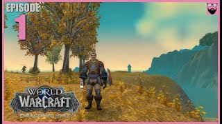 Lets Play World of Warcraft Dragonflight  In 2024  Fresh Start Paladin  Part 1  Chill Gameplay [upl. by Akienaj]