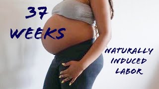 Induced Labor  37 Weeks Pregnant Vlog  Midwives Brew [upl. by Ayanat]